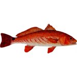 Decal Redfish .62" x 1.58"