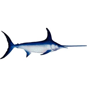 Decal Swordfish .68" x 1.99" (C471)