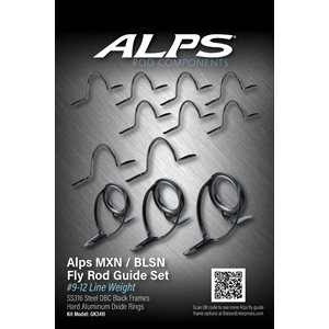 10'-8'6" 12wt-9wt Alps Black Heavy Guide Kit / no top
